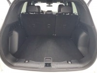 Used 2023 Ford Escape ST-Line