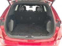 Used 2023 Ford Escape ST-Line