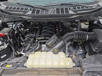 Used 2023 Ford F-150 XLT